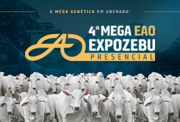 4º MEGA EAO EXPOZEBU - TOUROS