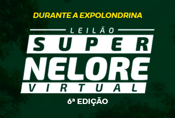 LEILÃO SUPER NELORE - 6ª EDIÇÃO REPRODUTORES