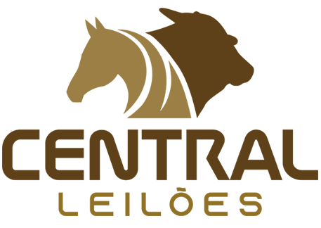 Central Leilões