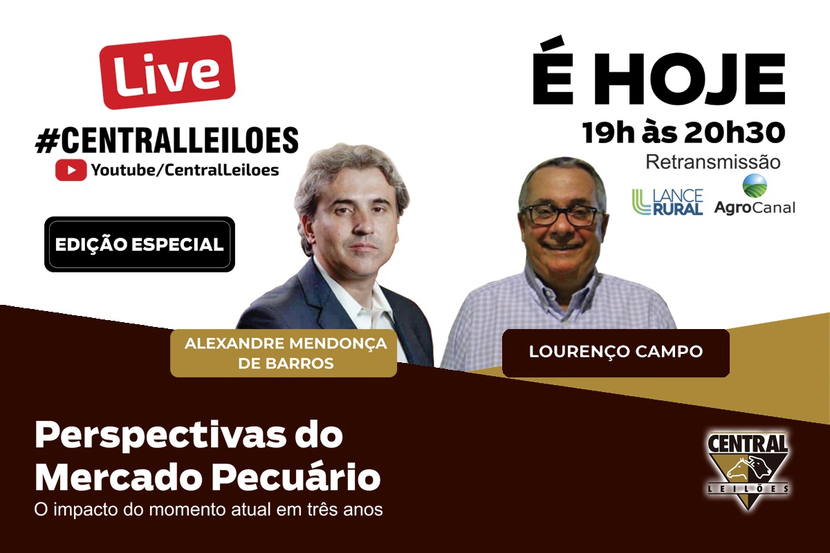 Live de hoje aborda as Perspectivas do Mercado Pecuário