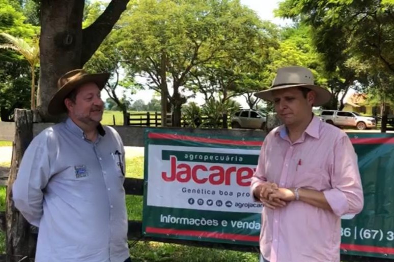 Visita à produção da Agropecuária Jacarezinho no Pantanal