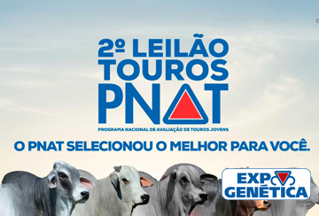 2º LEILÃO TOUROS PNAT