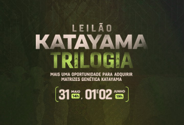 LEILÃO KATAYAMA TRILOGIA