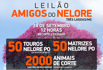 LEILÃO AMIGOS DO NELORE - TRÊS LAGOAS/MS - TOUROS E MATRIZES