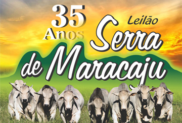 LEILÃO SERRA DE MARACAJU