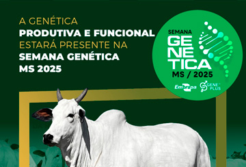 SEMANA GENÉTICA MS 2025 - FAZENDA MODELO