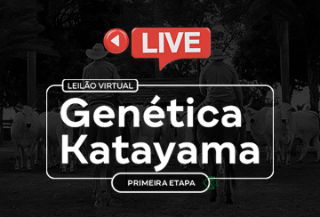 LIVE APRESENTAÇÃO DOS ANIMAIS - LEILÃO VIRTUAL GENÉTICA KATAYAMA - PRIMEIRA ETAPA