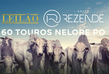 LEILÃO TOUROS GRUPO REZENDE