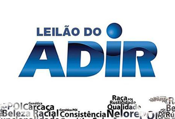 LEILÃO DO ADIR