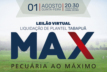 LEILÃO VIRTUAL LIQUIDAÇÃO DE PLANTEL TABAPUÃ MAX PECUÁRIA - DE OLHO NA FAZENDA DE 29 A 31/07