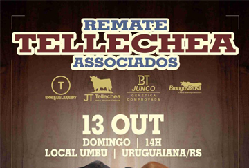 REMATE TELLECHEA ASSOCIADOS