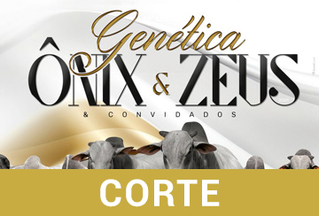 LEILÃO GENÉTICA ÔNIX & ZEUS & CONVIDADOS - CORTE