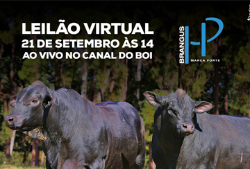 LEILÃO VIRTUAL BRANGUS HP