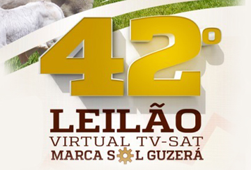 42º LEILÃO TV-SAT MARCA SOL GUZERÁ
