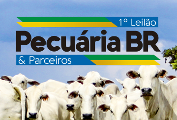 1º LEILÃO PECUÁRIA BR & PARCEIROS