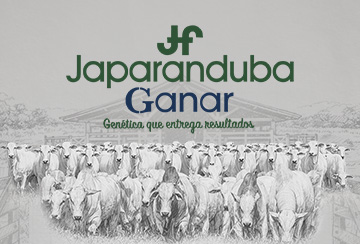 1º LEILÃO SELEÇÃO JAPARANDUBA GANAR