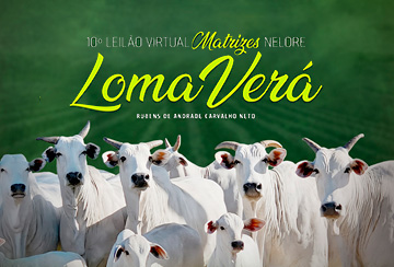 10º LEILÃO VIRTUAL MATRIZES NELORE LOMA VERÁ