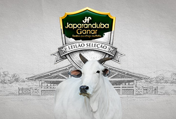 1º LEILÃO SELEÇÃO JAPARANDUBA GANAR