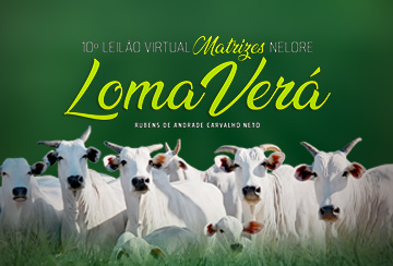 10º LEILÃO VIRTUAL MATRIZES NELORE LOMA VERÁ