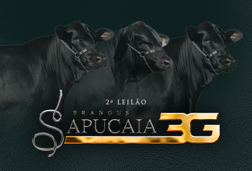 2º LEILÃO BRANGUS SAPUCAIA 3G