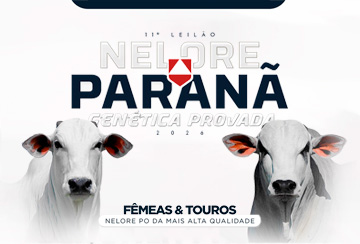 11º LEILÃO NELORE PARANÃ - GENÉTICA PROVADA 2026