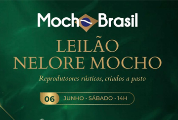 LEILÃO MOCHO BRASIL