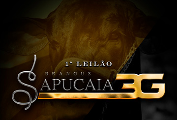 1º LEILÃO BRANGUS SAPUCAIA 3G
