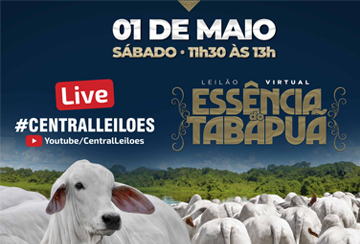 LIVE - LEILÃO VIRTUAL ESSÊNCIA DO TABAPUÃ