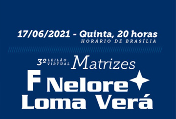 3º LEILÃO VIRTUAL MATRIZES NELORE LOMA VERÁ