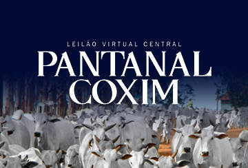 LEILÃO VIRTUAL CENTRAL PANTANAL COXIM