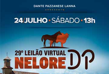 29º LEILÃO VIRTUAL NELORE DP