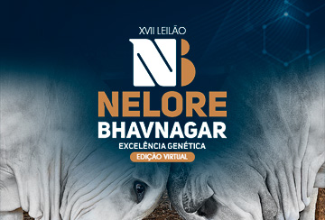 XVII LEILÃO NELORE BHAVNAGAR - EDIÇÃO VIRTUAL
