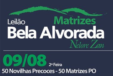 LEILÃO MATRIZES BELA ALVORADA - NELORE ZAN