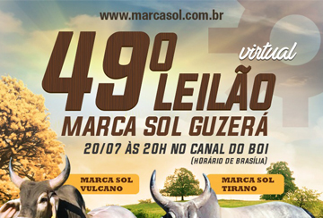 49º LEILÃO VIRTUAL MARCA SOL GUZERÁ