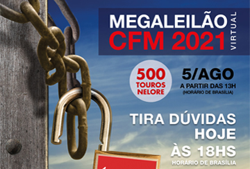 TIRA DÚVIDAS - MEGA LEILÃO VIRTUAL CFM 2021