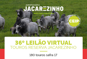 36º LEILÃO VIRTUAL TOUROS RESERVA JACAREZINHO