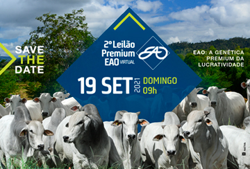 2º LEILÃO VIRTUAL PREMIUM EAO