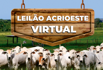 LEILÃO VIRTUAL ACRIOESTE