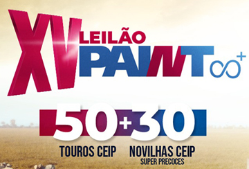 XV LEILÃO VIRTUAL PAINT