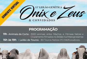 11º LEILÃO GENÉTICA ONIX E ZEUS & CONVIDADOS - CORTE