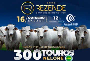 LEILÃO VIRTUAL GRUPO REZENDE