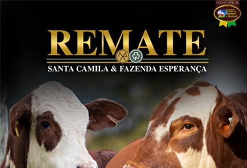 REMATE SANTA CAMILA E FAZENDA ESPERANÇA