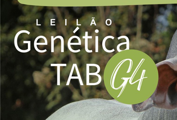 LEILÃO GENÉTICA TAB G4