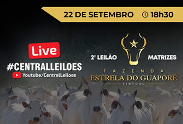 LIVE - 2º LEILÃO MATRIZES FAZENDA ESTRELA DO GUAPORÉ