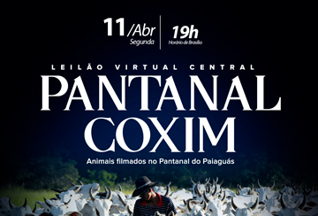 LEILÃO VIRTUAL CENTRAL - PANTANAL - COXIM