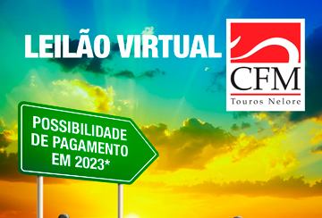 LEILÃO VIRTUAL CFM