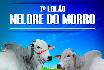 7º LEILÃO NELORE DO MORRO