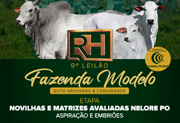 9º LEILÃO FAZENDA MODELO - NOVILHAS E MATRIZES AVALIADAS