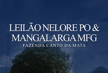 LEILÃƒO NELORE PO & MANGALARGA MFG - FAZENDA CANTO DA MATA