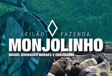 LEILÃO FAZENDA MONJOLINHO